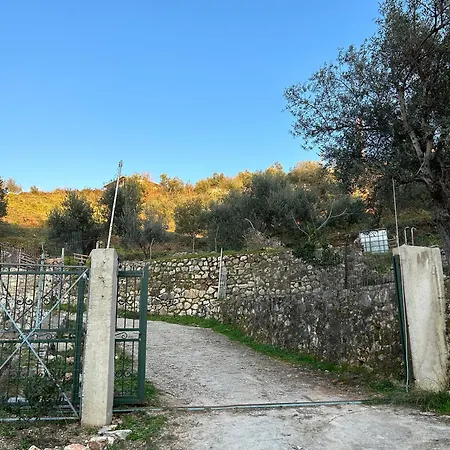 On The Hill - By Filikuri *