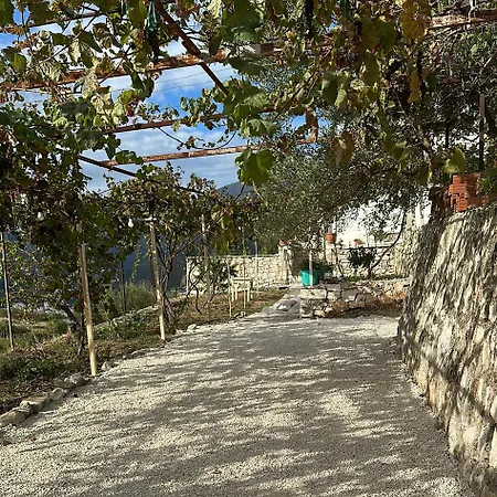 On The Hill - By Filikuri הימארה