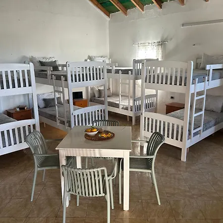 On The Hill - By Filikuri