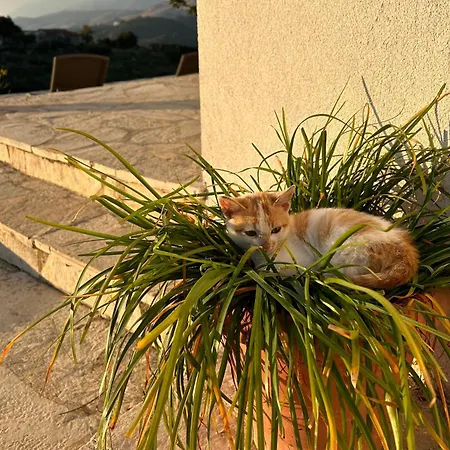 On The Hill - By Filikuri Himare