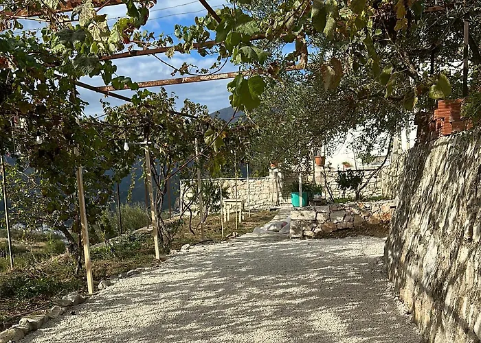 On The Hill - By Filikuri Himare