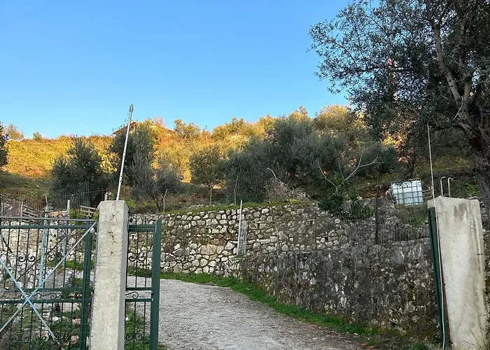 On The Hill - By Filikuri *